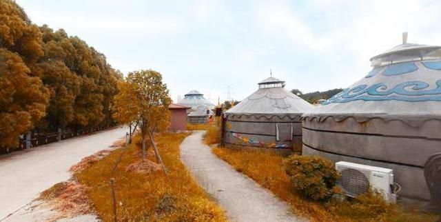 武汉闹市区有座草原风烤全羊,开阔地建蒙古包