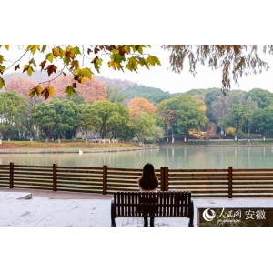 安徽芜湖：“捐一把椅” 暖一座城